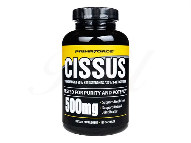 商品画像: [PRIMAFORCE]シッサス500mg 【1本120カプセル】