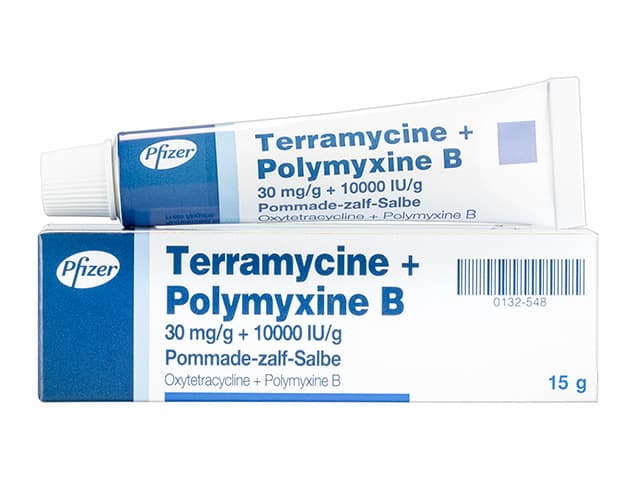 テラマイシン＋ポリミキシンB眼軟膏30mg+10000IU 【1本15g】